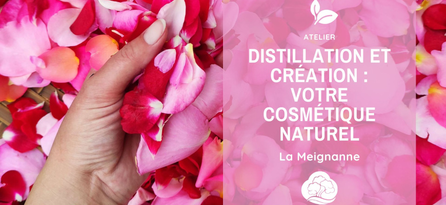 Distillation et création : Votre cosmétique naturel Atelier/Stage