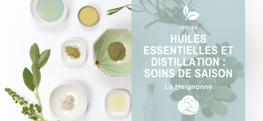 Huiles essentielles et distillation : Soins de saison  Atelier/Stage