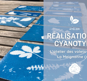 Image Découvrir le Cyanotype  Atelier/Stage