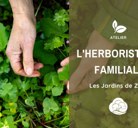 Herboristerie familiale - atelier au fil des saisons