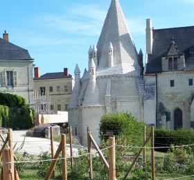 Image Semaine du goût : tous aux jardins ! Visites et sorties